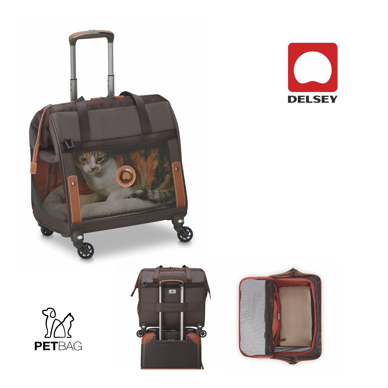 Aurelio - Zaino Trolley Pet 4 ruote removibili