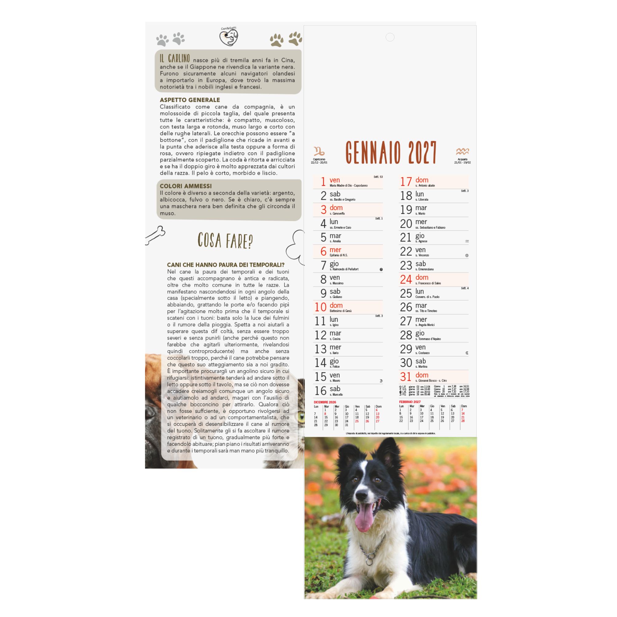 CALENDARIO CANI E GATTI