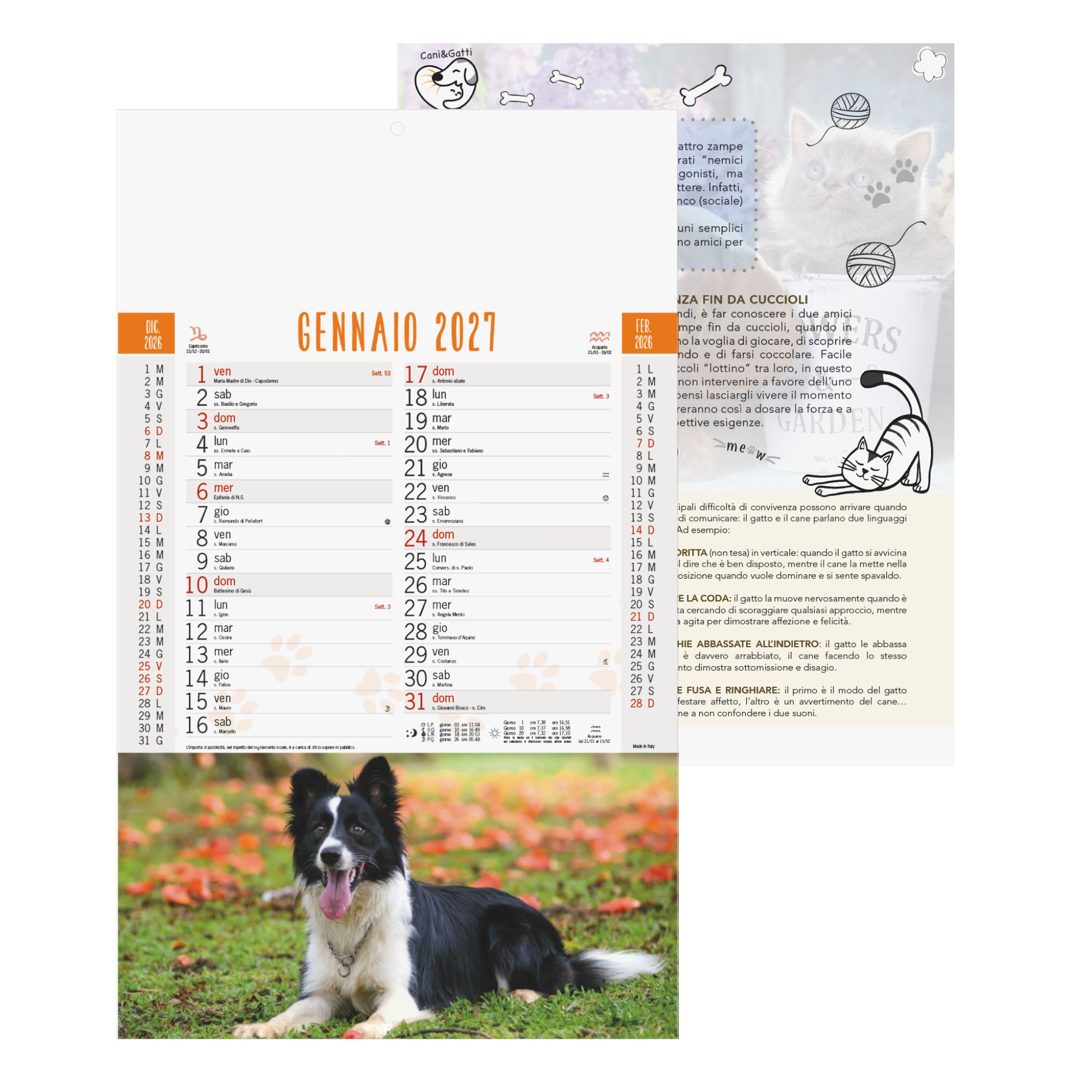 CALENDARIO CANI E GATTI