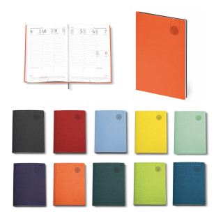 0143 Weekly diary 17x24 Tavecchi