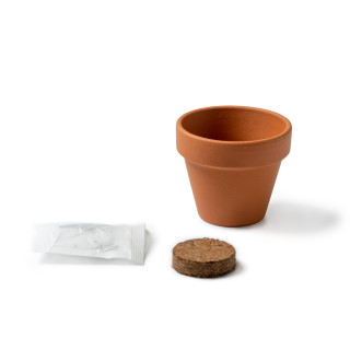6800 - Vaso Girasole