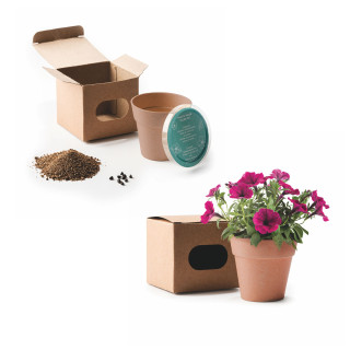 6802 - Vaso Petunia