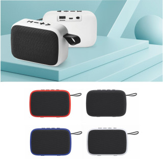 9080 Timothy - Speaker Wireless