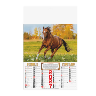 B/43 - HORSES CALENDAR ""
