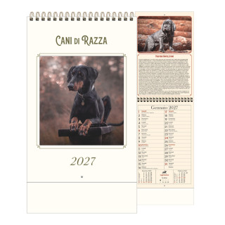 H036 Cani di razza - Calendario Illustrato Anticato